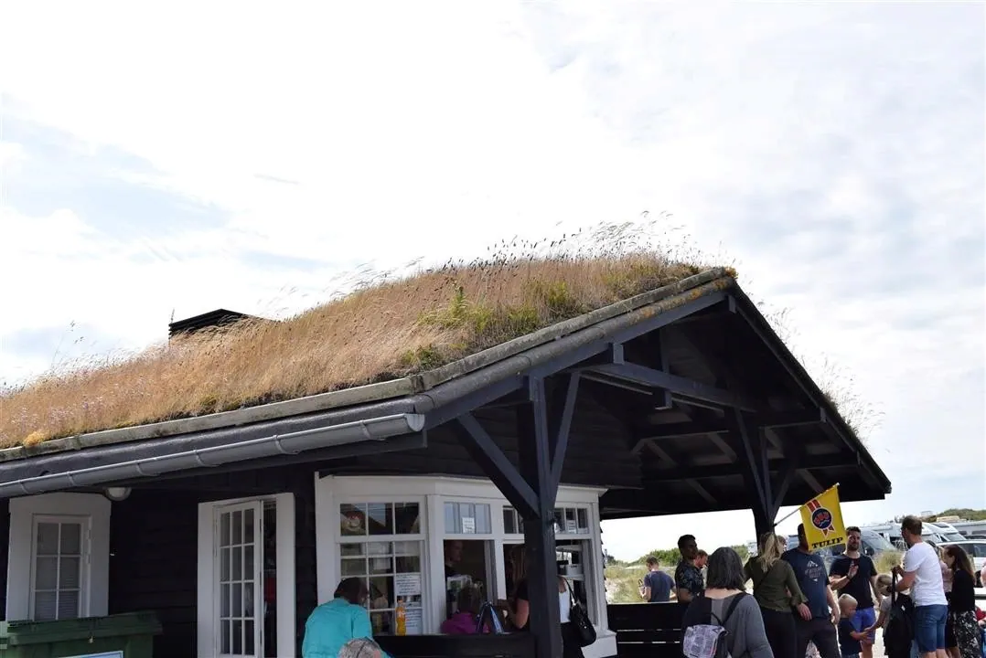 Assens and the North of Denmark 2017